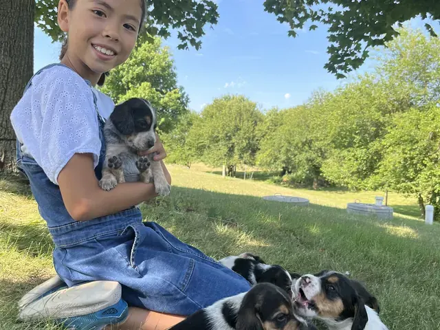 Family photo: child sitting outdoors with two puppies