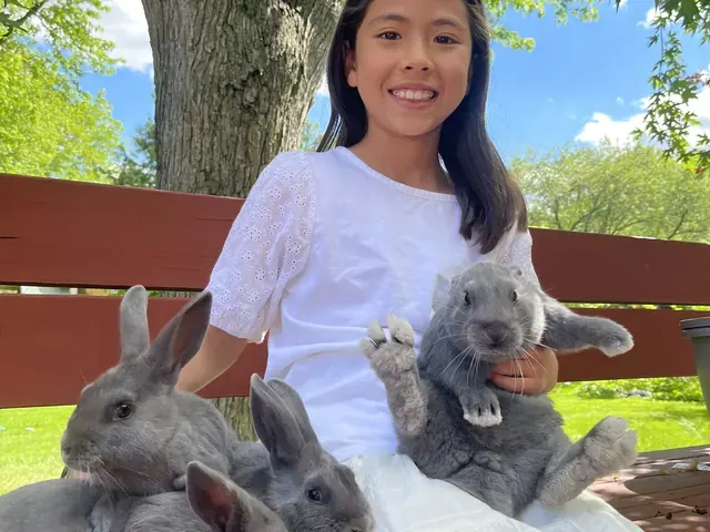 Family photo: child holding two rabbits outdoors