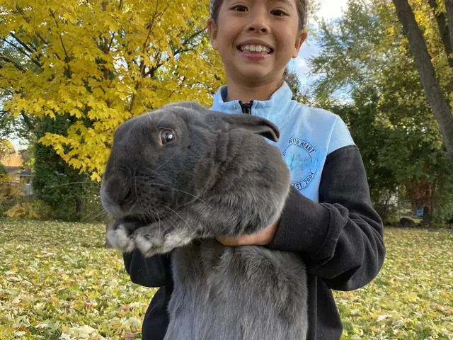 Family photo: child holding a rabbit beneath autumn trees