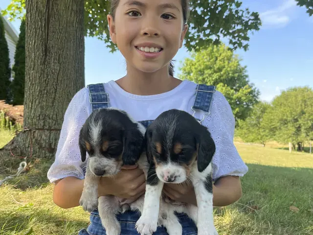 Family photo: child holding two puppies outdoors