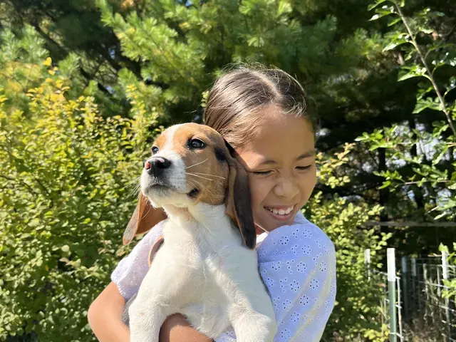 Family photo: child holding a dog in a garden